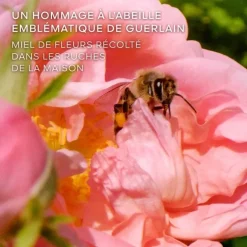 Eau De Parfum><noscript><img width=