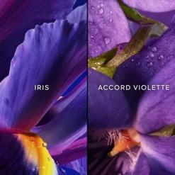 Eau De Toilette><noscript><img width=