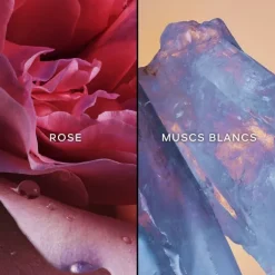 Eau De Parfum><noscript><img width=