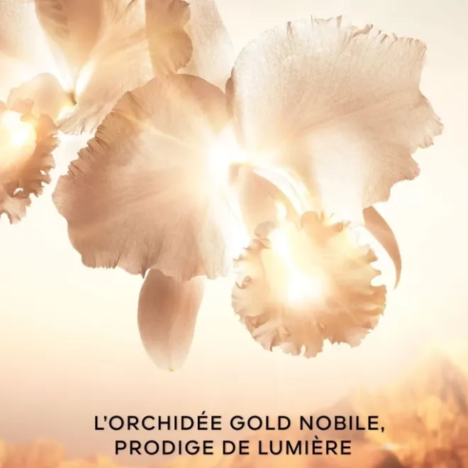 Soin Yeux & Lèvres>GUERLAIN Orchidée Impériale Gold Nobile Le Soin Concentré Regard