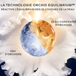 Lotion & Soin Préparateur><noscript><img width=