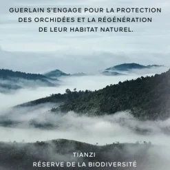 Nettoyant Visage><noscript><img width=