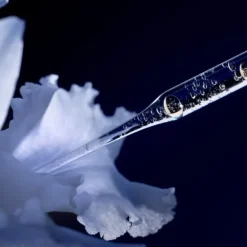 Lotion & Soin Préparateur><noscript><img width=