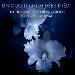 Lotion & Soin Préparateur><noscript><img width=