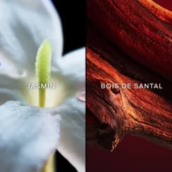 Eau De Toilette><noscript><img width=