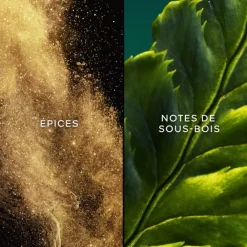 Eau De Toilette><noscript><img width=