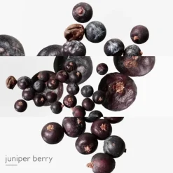 Parfum Recharge|Eau De Toilette><noscript><img width=