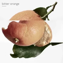 Parfum Recharge|Eau De Toilette><noscript><img width=