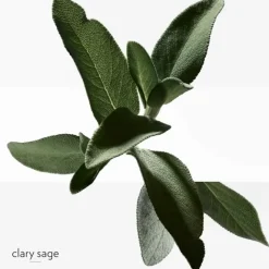 Gamme Complémentaire Parfumée|Eau De Parfum><noscript><img width=