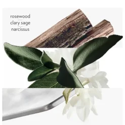 Eau De Toilette><noscript><img width=