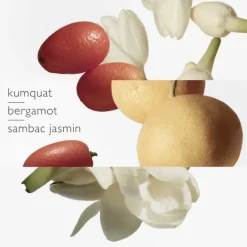 Parfum Recharge><noscript><img width=