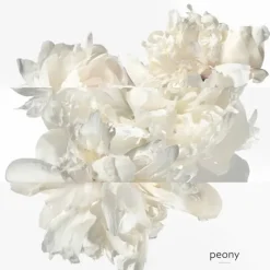 Eau De Parfum><noscript><img width=