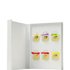 Coffrets Pour Lui|Coffrets Pour Elle>Houbigant Collection Privée                Coffret Miniatures