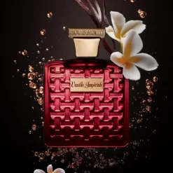 Parfum Mixte><noscript><img width=