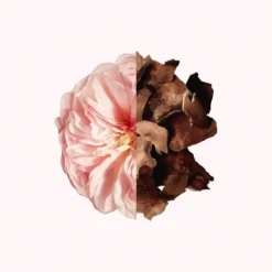 Gamme Complémentaire Parfumée>GIVENCHY Irresistible                Parfum Cheveux