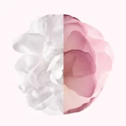 Eau De Parfum><noscript><img width=