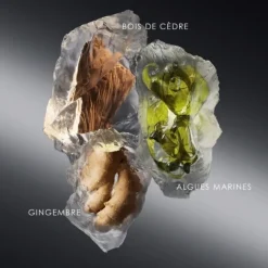 Parfum Naturel & Eco-Responsable|Eau De Toilette><noscript><img width=