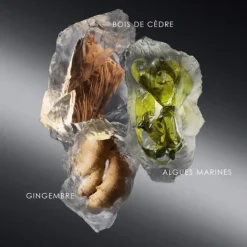 Parfum Naturel & Eco-Responsable|Parfum Recharge>Issey Miyake Le Sel d'Issey                Eau de Toilette - Flacon-Recharge