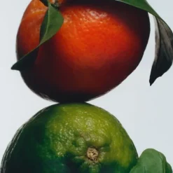 Bougie Parfumée><noscript><img width=