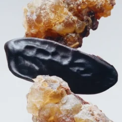 Parfum Mixte><noscript><img width=