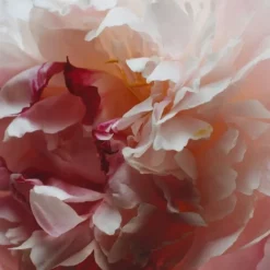 Parfum Mixte><noscript><img width=