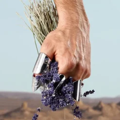 Eau De Toilette><noscript><img width=