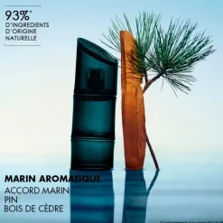 Eau De Toilette><noscript><img width=