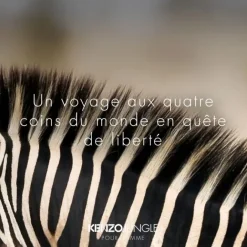 Eau De Toilette><noscript><img width=