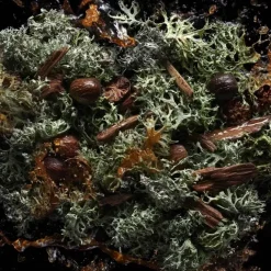 Parfum Mixte|Parfum Recharge>Kilian Paris Straight to Heaven                Eau de Parfum - Flacon-Recharge