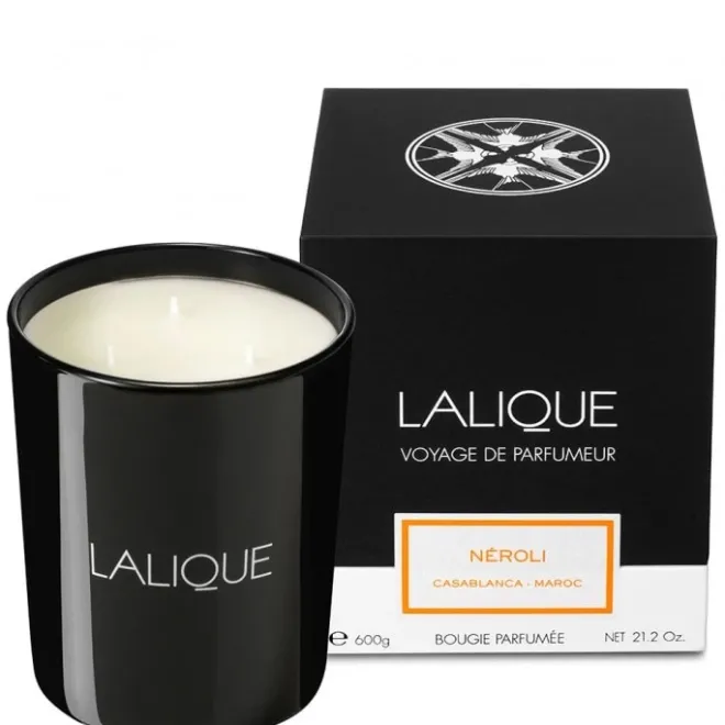 Bougie Parfumée>Lalique Néroli Casablanca Maroc Bougie Parfumée