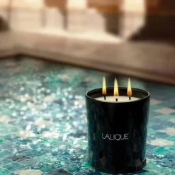 Bougie Parfumée><noscript><img width=