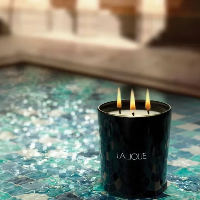 Bougie Parfumée>Lalique Néroli Casablanca Maroc Bougie Parfumée