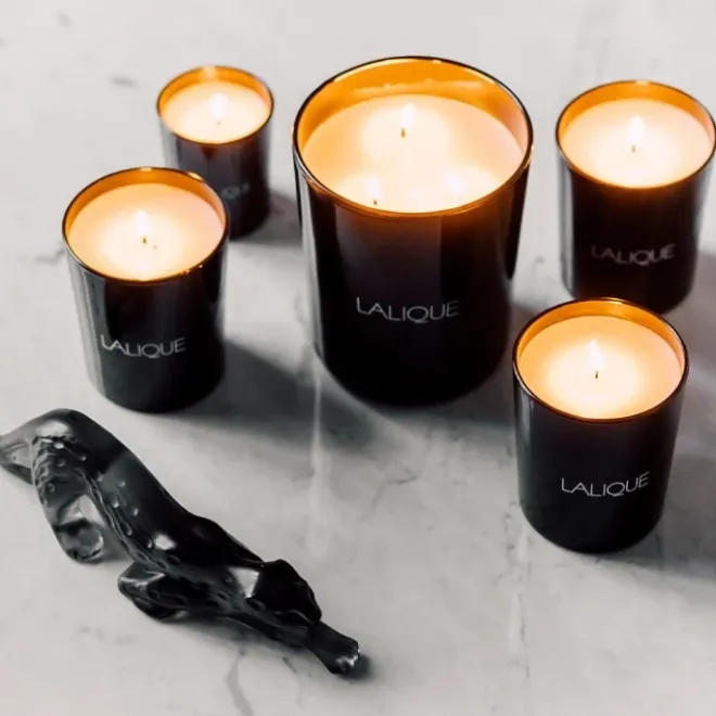 Bougie Parfumée>Lalique Néroli Casablanca Maroc Bougie Parfumée