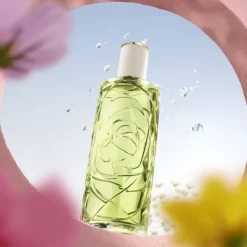 Eau De Toilette>LANCÔME ÔFF NOW                Eau de Toilette