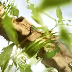 Eau De Toilette><noscript><img width=