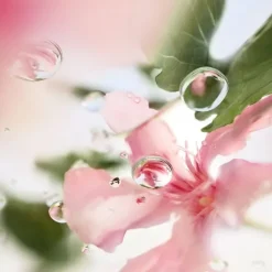 Eau De Toilette><noscript><img width=