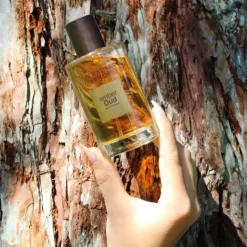 Parfum Mixte>Les Senteurs Gourmandes Amber Oud                Eau de Parfum