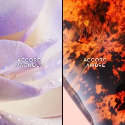 Eau De Parfum><noscript><img width=