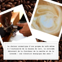 Parfum Mixte><noscript><img width=