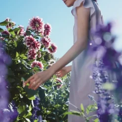 Parfum Mixte><noscript><img width=