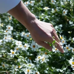 Parfum Mixte><noscript><img width=