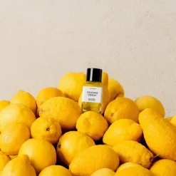 Parfum Naturel & Eco-Responsable|Parfum Mixte><noscript><img width=