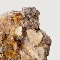 Parfum Naturel & Eco-Responsable><noscript><img width=