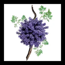 Eau De Parfum>Mauboussin pour Homme                Eau de Parfum