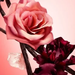 Parfum Recharge>NARCISO RODRIGUEZ All of Me                Eau de Parfum Intense - Flacon Recharge