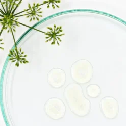 Soin Minceur & Galbe|Soin Naturel & Ecoresponsable><noscript><img width=