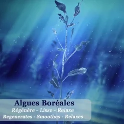 Soin De Nuit|Soin Naturel & Ecoresponsable><noscript><img width=