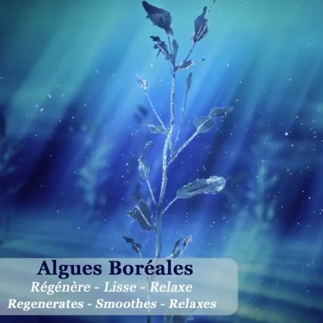 Masque|Soin Naturel & Ecoresponsable>Polaar Nuit Polaire Aux Algues Boréales Masque Déstressant