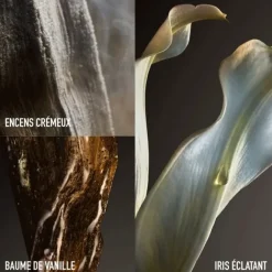 Eau De Parfum><noscript><img width=