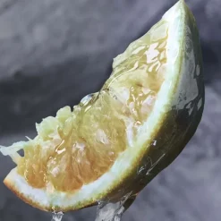 Gamme Complémentaire Parfumée><noscript><img width=